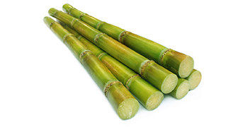 | Sugarcanes